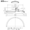 DAIKO 調色シーリング(１０～１２畳) DCL-41129