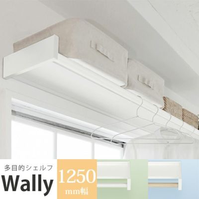 森田アルミ工業 morita Wally 多目的シェルフ W1250 WAL12