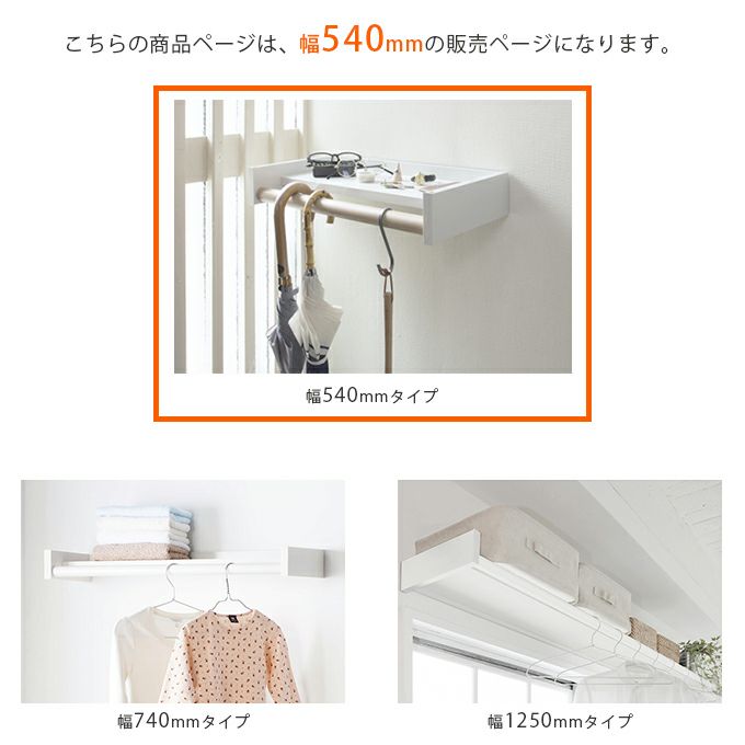 森田アルミ工業 morita Wally 多目的シェルフ W540 WAL54