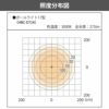 タカショー ポールライト17型 12V/24V