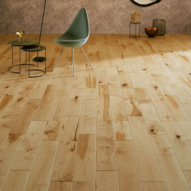 000000004175-01-l.jpg?t=