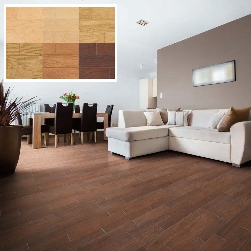 000000004310-01-l.jpg?t=